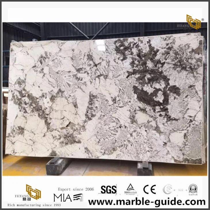 Wonderful Aspen White Granite Slabs